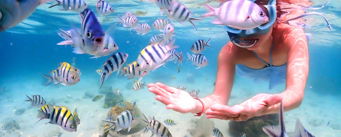 Snorkeling_wide Snorkeling_wide